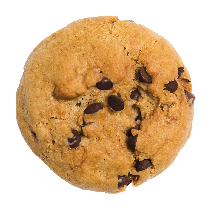 Gourmet BIG Vegan Chocolate Chip Cookie