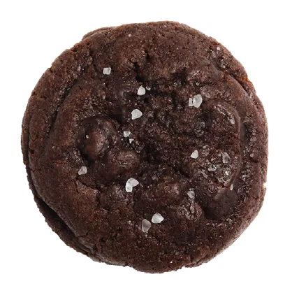 Gourmet Dark Chocolate Sea Salt Cookie