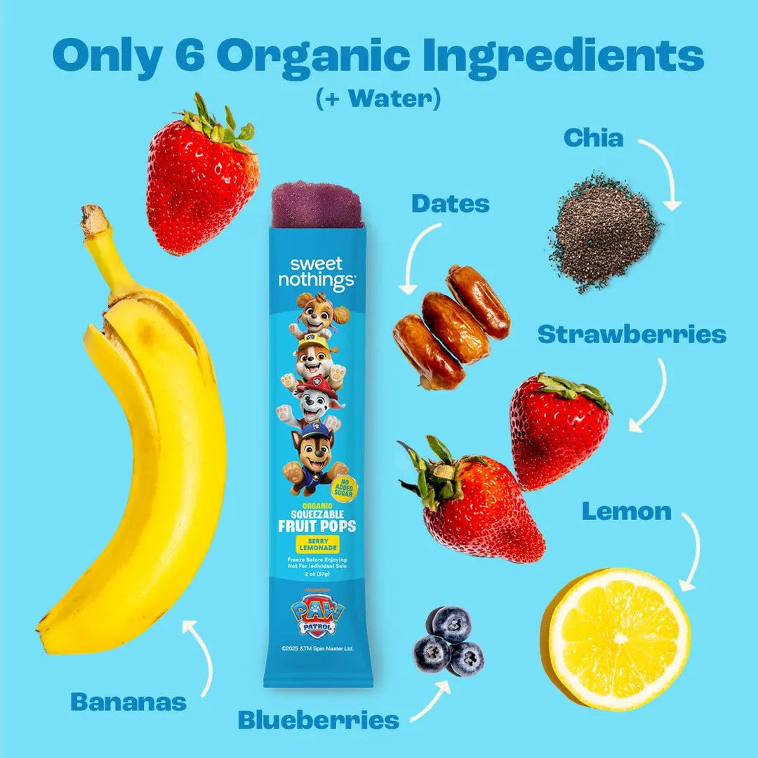 Berry Lemonade PAW Patrol Pops - Organic Fruit Popsicle