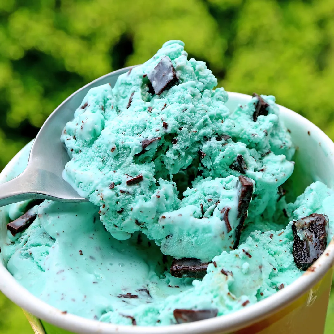 Mint Chocolate Chip