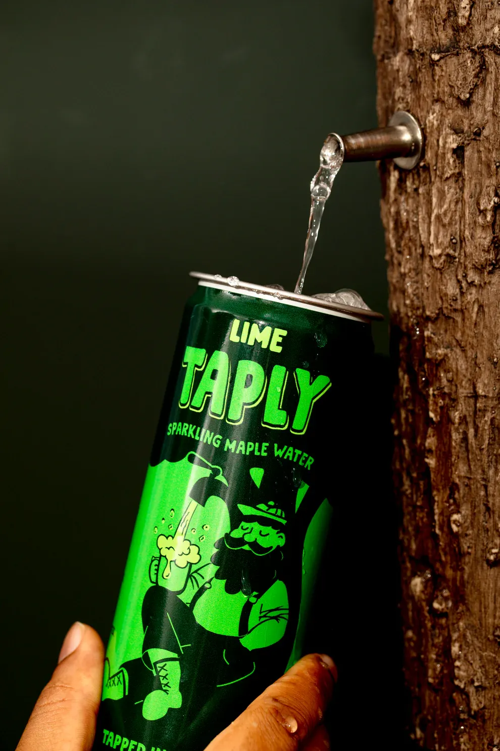 Lime Sparkling Maple Water