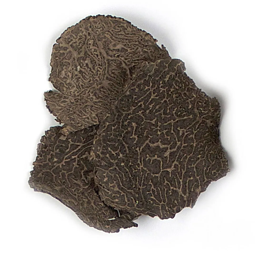 100% Freeze-Dried Black Winter Truffle – NoH2o®