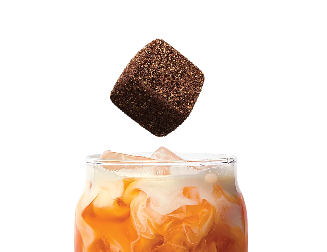 Thai Tea Box - 10 Organic Bagless Tea Drops (Case of 6)