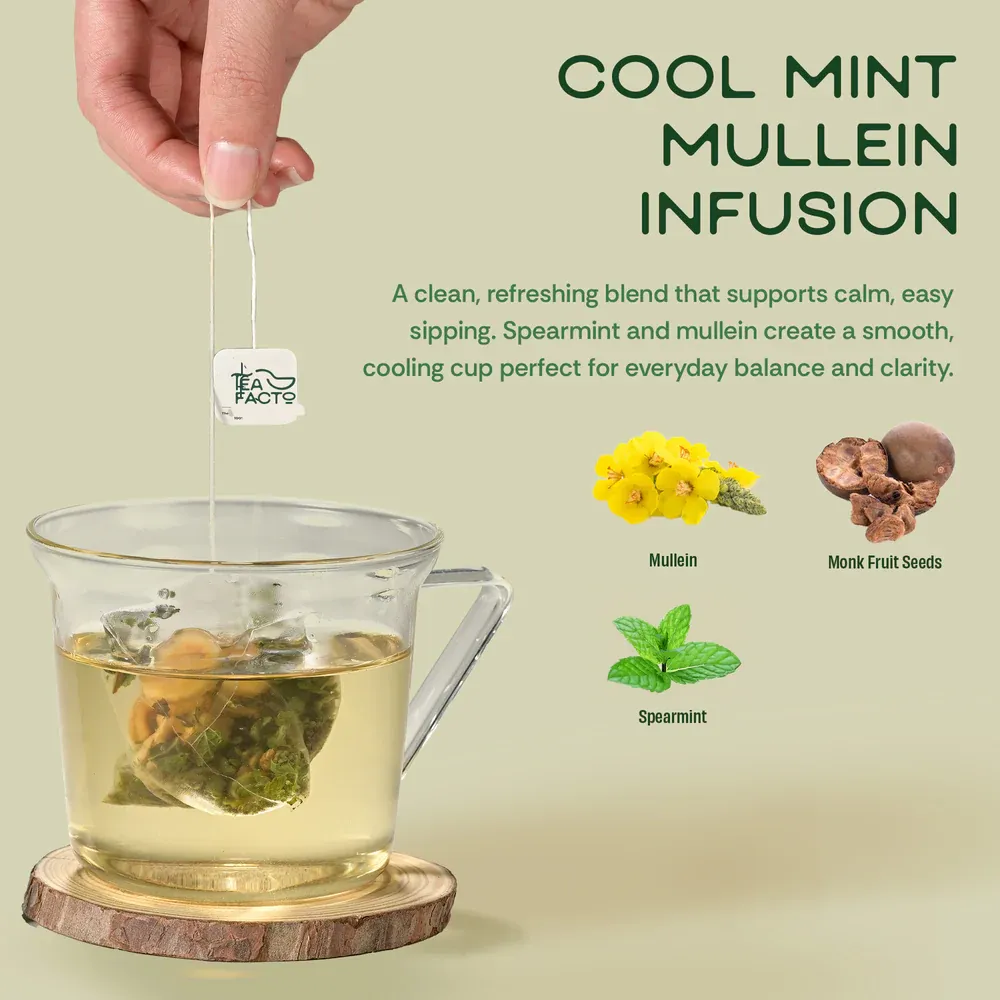 Mint Zest Mullein Tea (10 bags x 9)