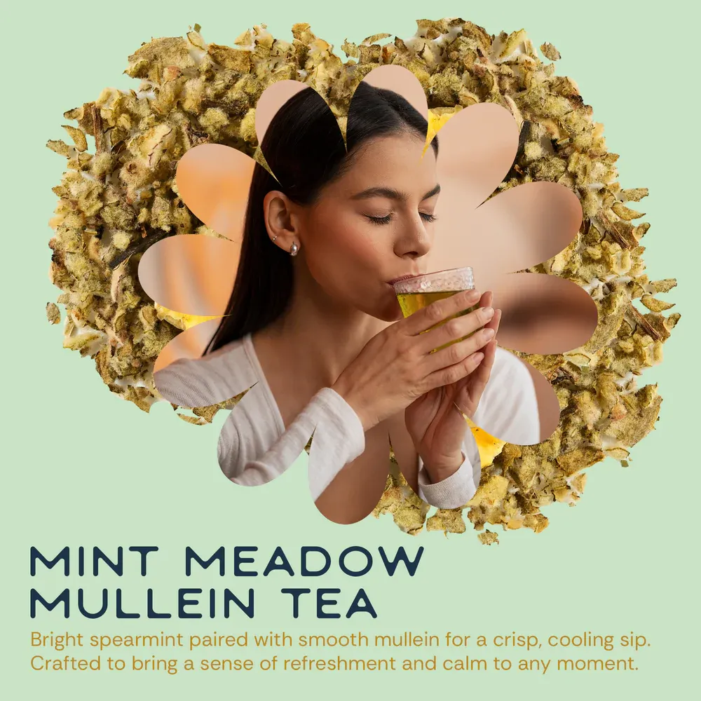 Mint Zest Mullein Tea (10 bags x 9)