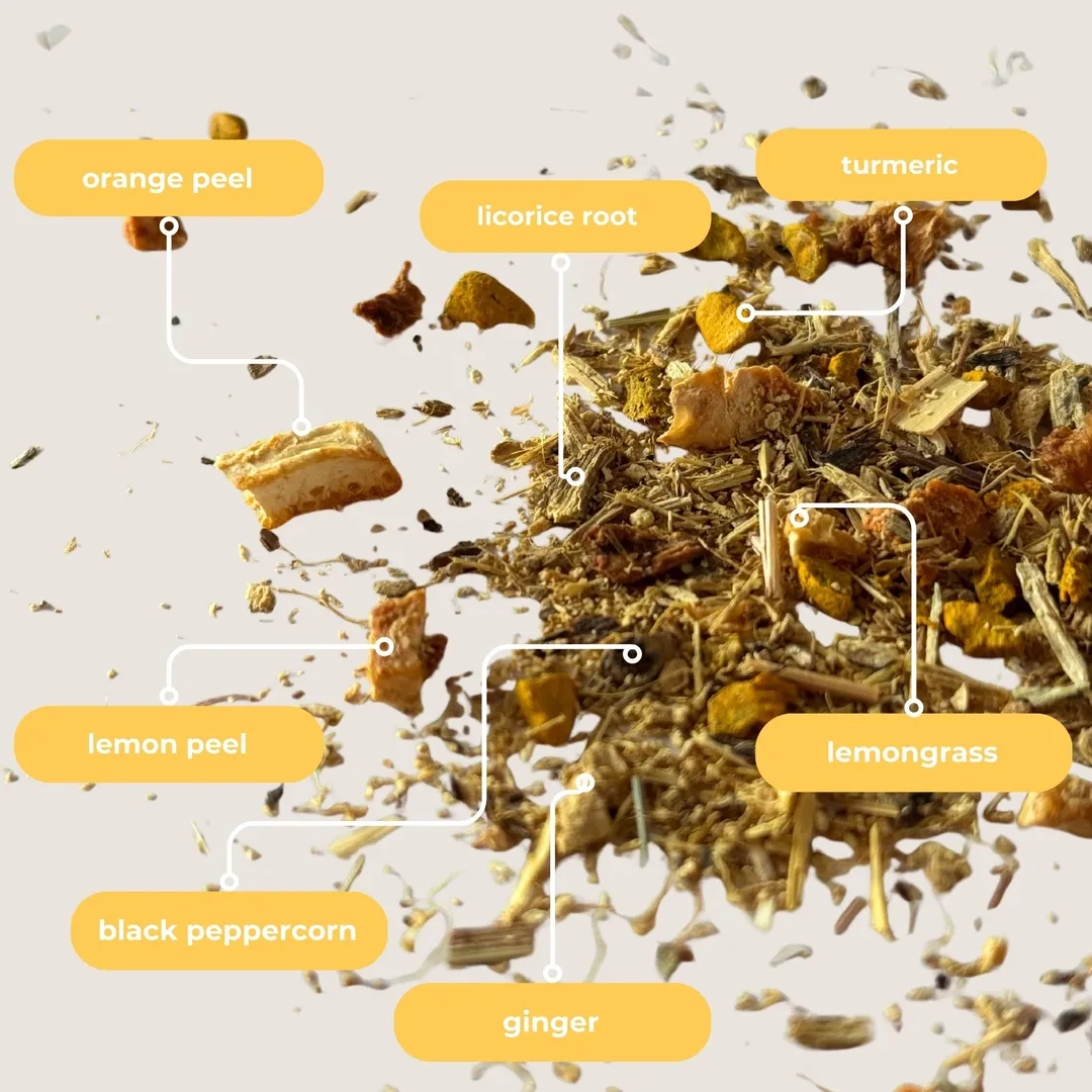 Turmeric Ginger Mini Tea Tube Gift (5 tea bags)