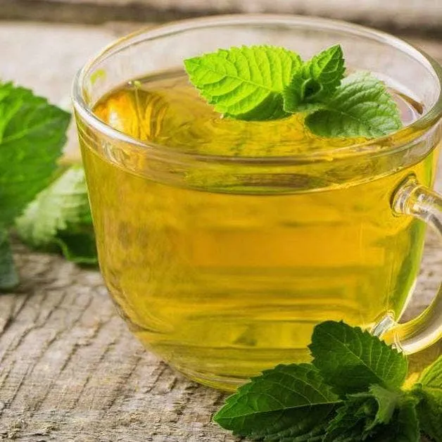Peppermint Herbal Tea Pouch (90 Tea bags) for food service