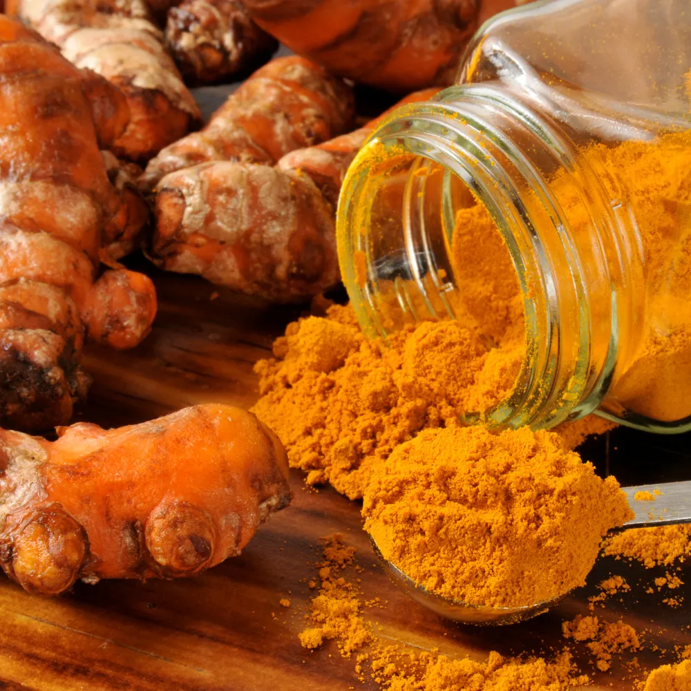 Turmeric Ginger Herbal Tea Pouch (15 Tea bags) for retail