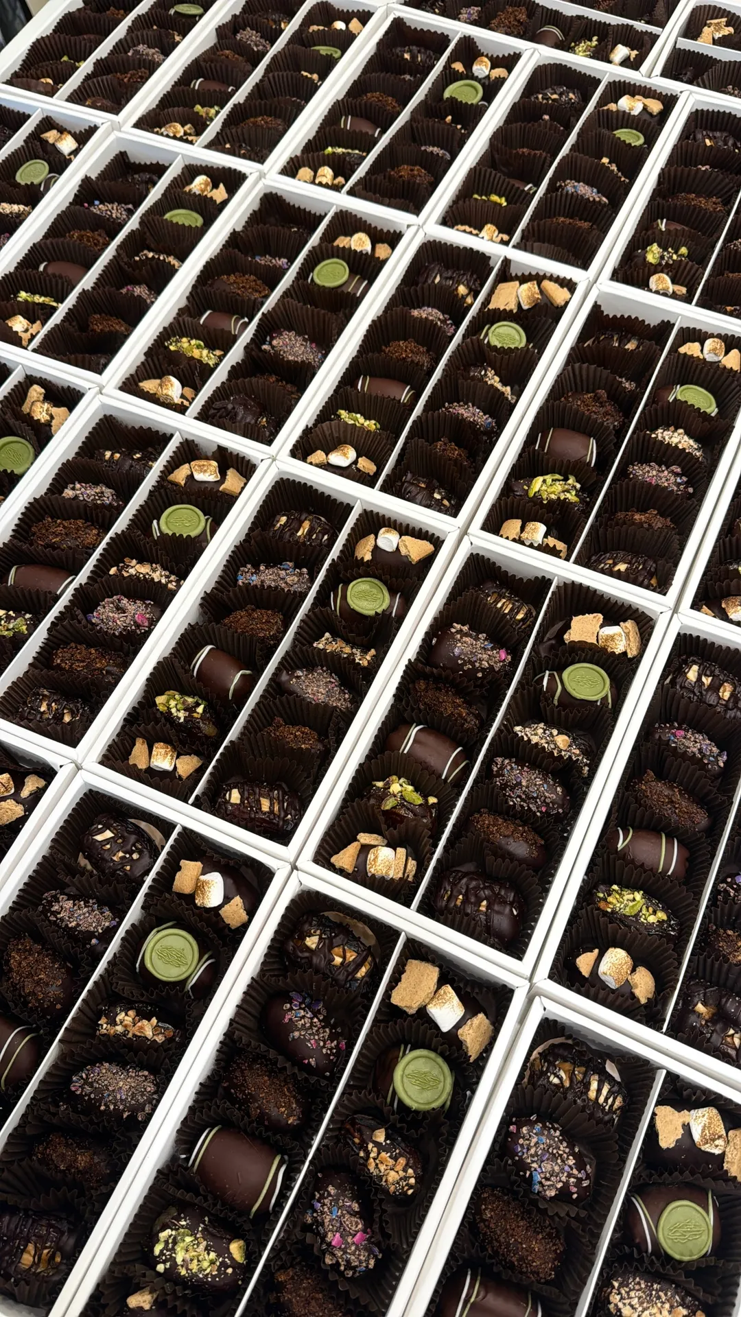 Second Date™ (12 Gourmet Vegan and Gluten-Free Chocolate Covered Dates)