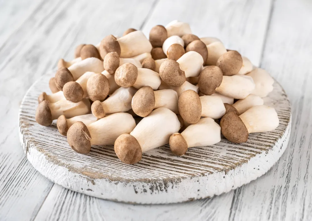 King Oyster Gourmet Mushroom Growing Kit: DIY Feast!
