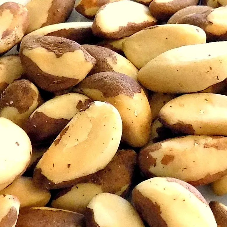 Bulk Brazil Nuts, Raw variant