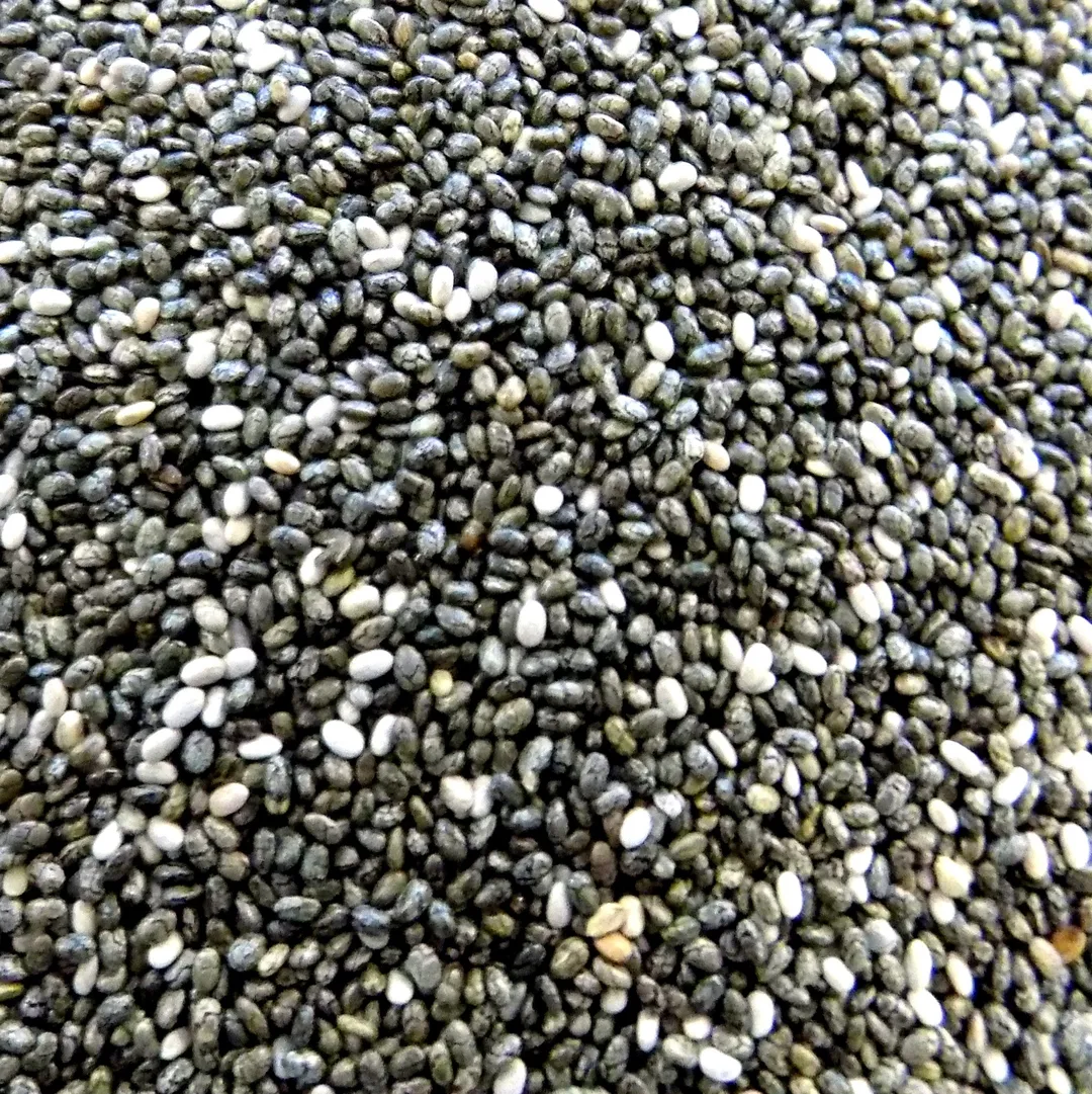 Bulk Chia Seeds, Organic variant