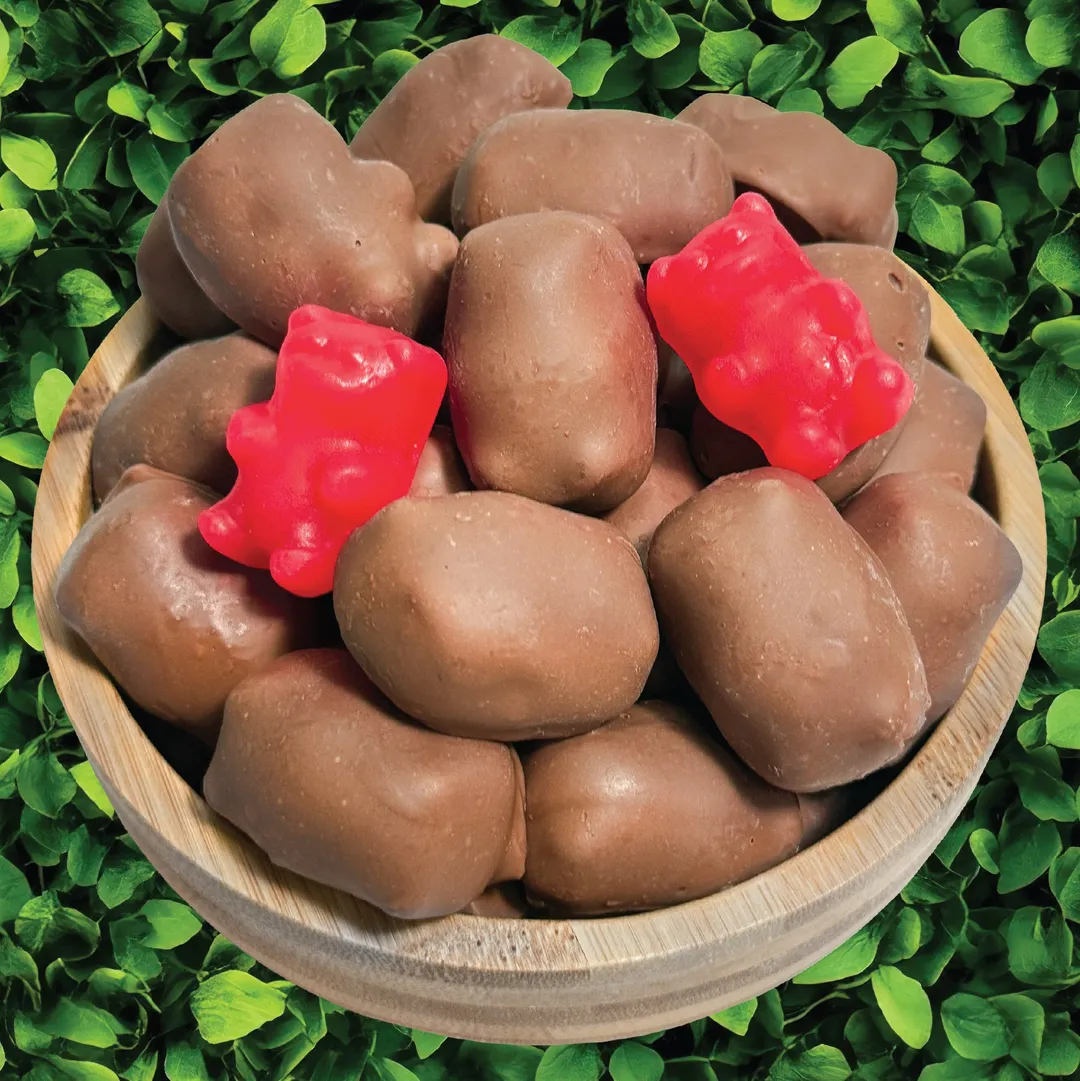 Bulk Cinnamon Bears, Milk Chocolate Covered