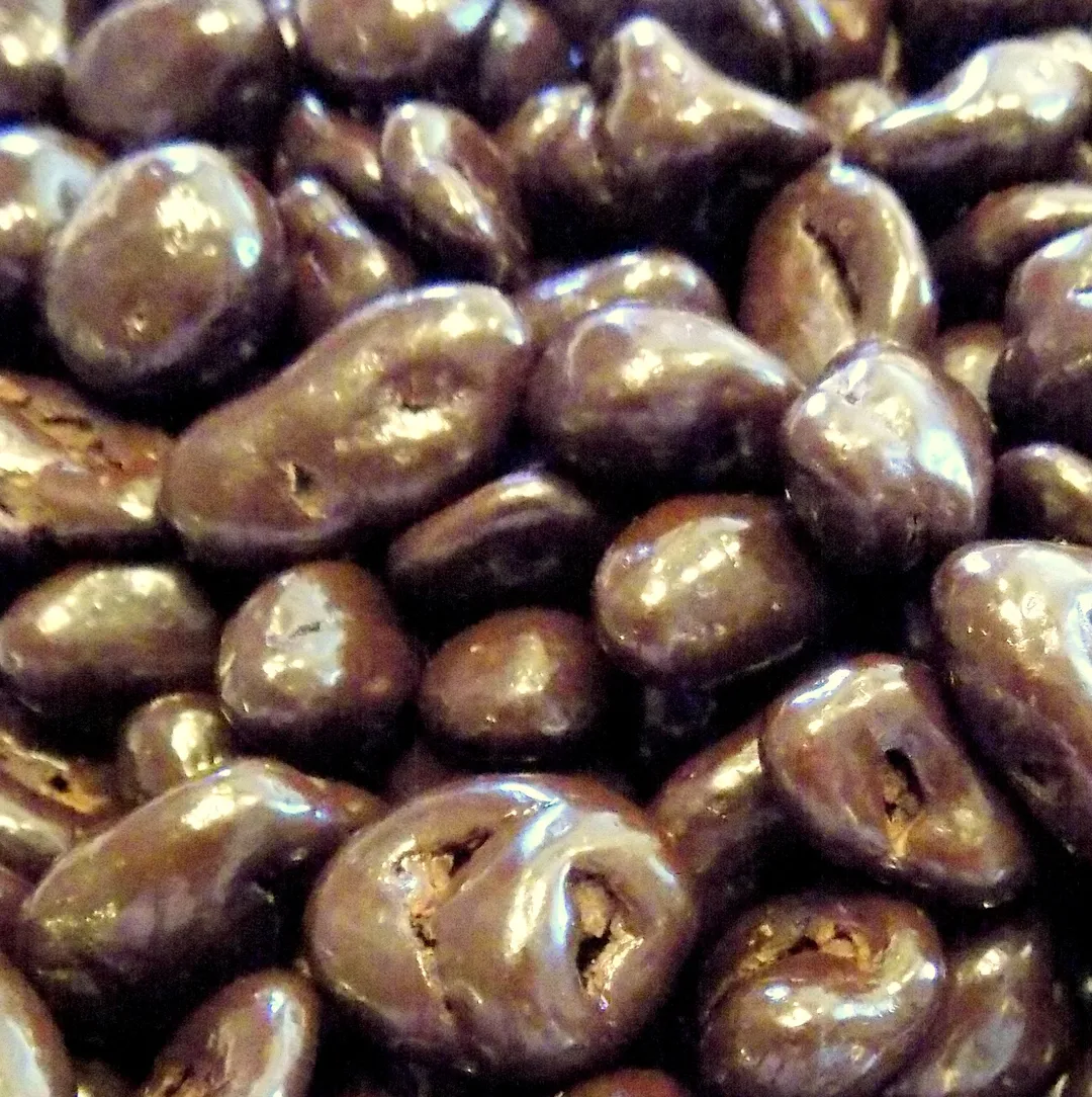 Bulk Cranberries, Dark Chocolate