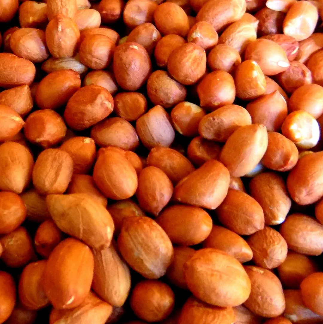 Bulk Peanuts, Raw Spanish Red Skin variant