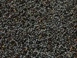 Bulk Poppy Seeds variant