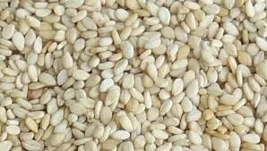 Bulk Sesame Seeds variant