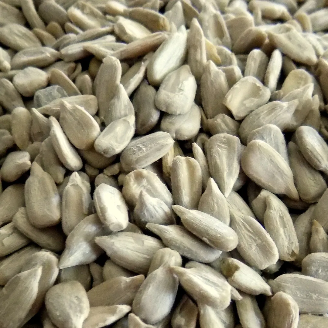 Bulk Sunflower Seeds, Raw variant