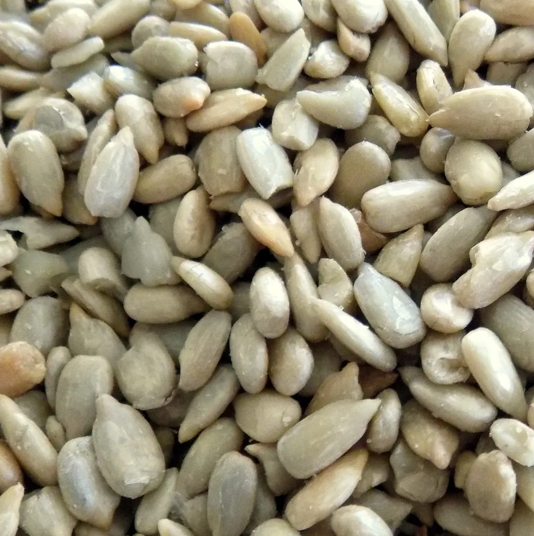 Bulk Sunflower Seeds, Roasted and Salted variant