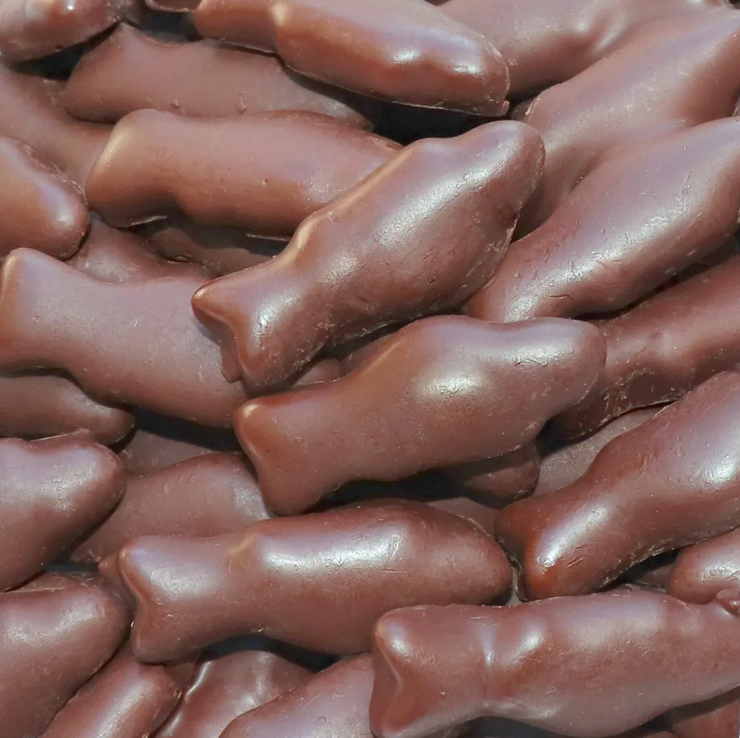 Bulk Swedish Fish, Dark Chocolate Covered