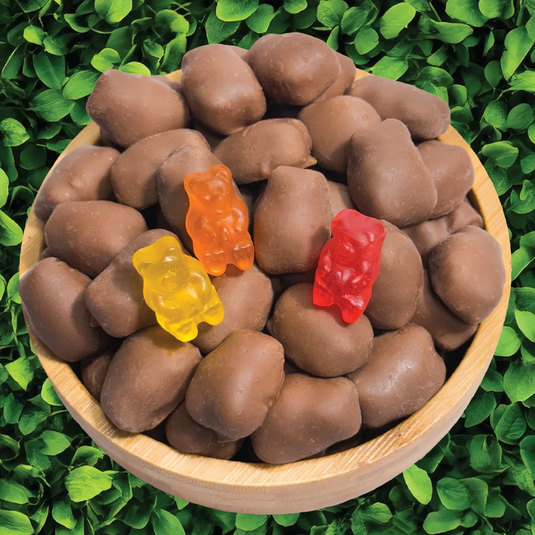 Gummi Bears, Milk Chocolate Covered (12 oz)