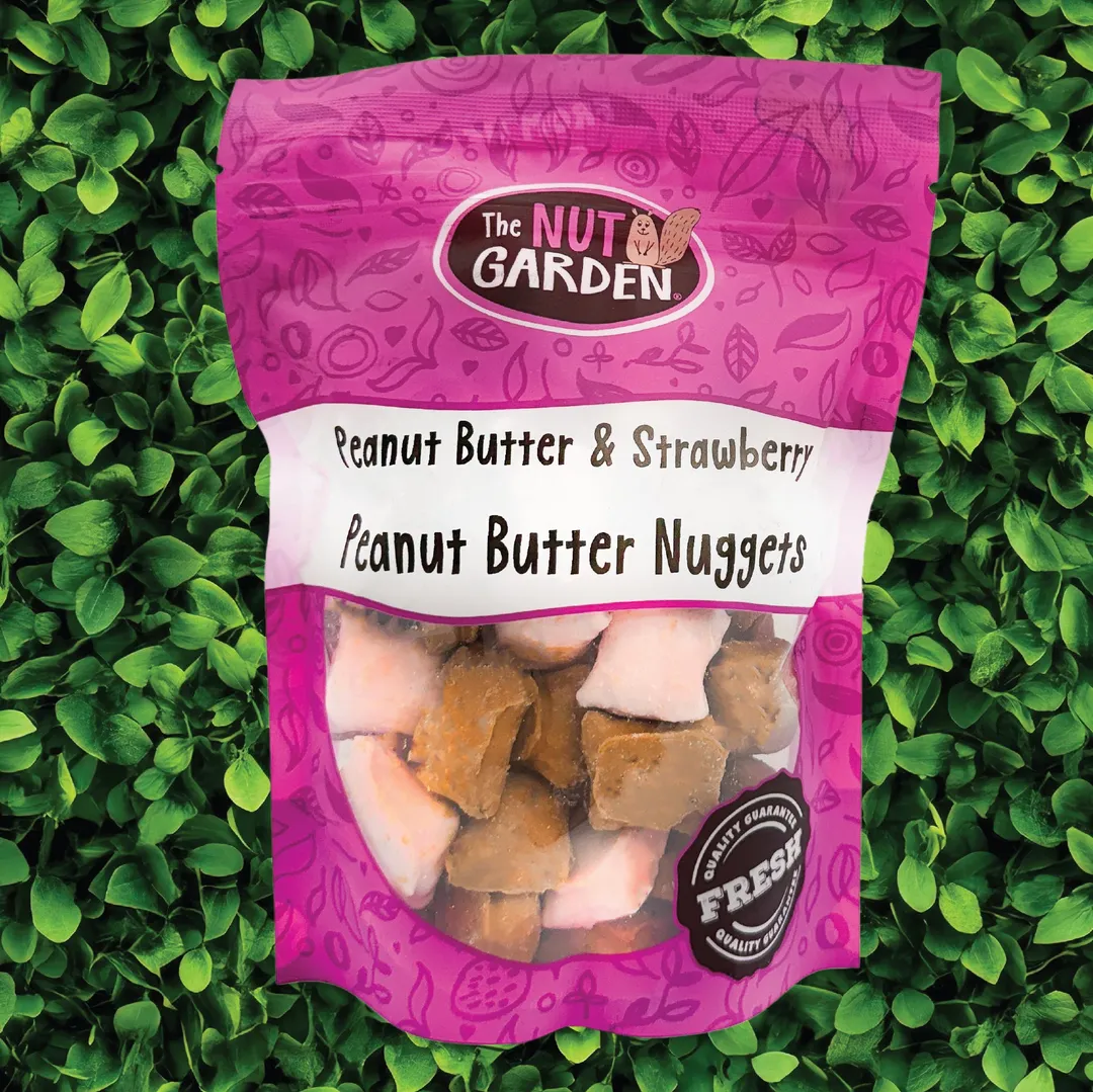 Peanut Butter & Strawberry Pretzel Nuggets (12 oz)
