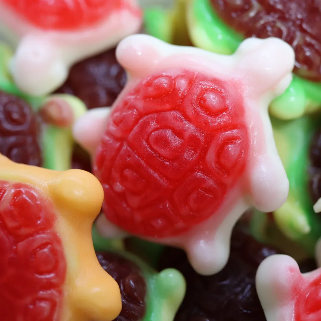 Sweetables Candy Jars | Soft Shelled Sea Turtles (Jelly Filled)