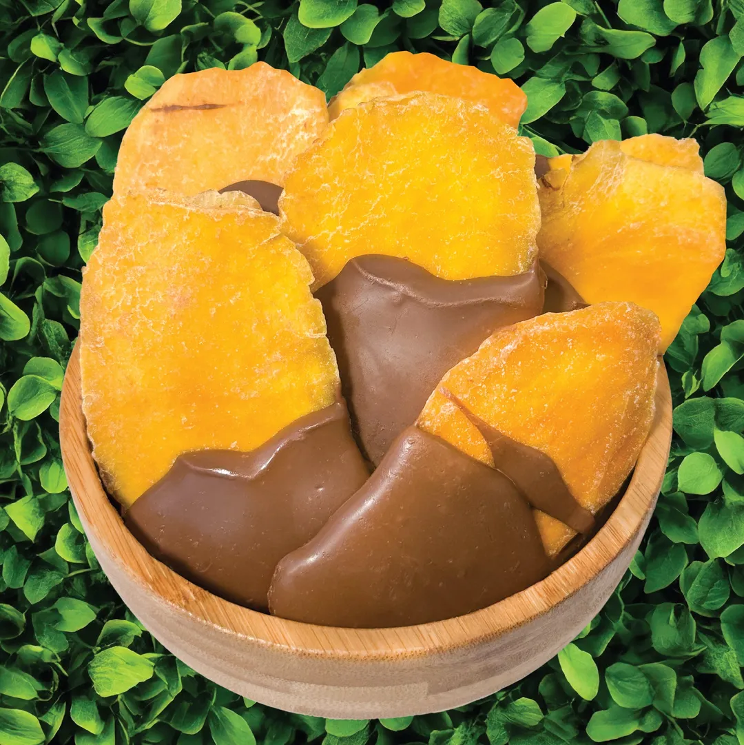 Tub | Mango, Milk Chocolate (6.5 oz)