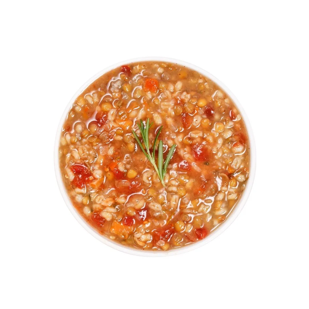 Barley Lentil Soup