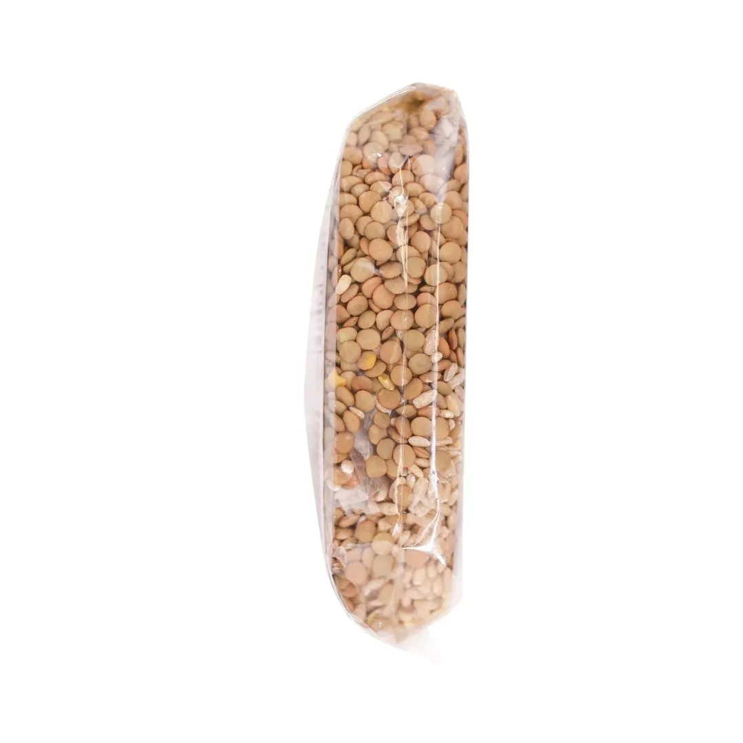 Barley Lentil Soup