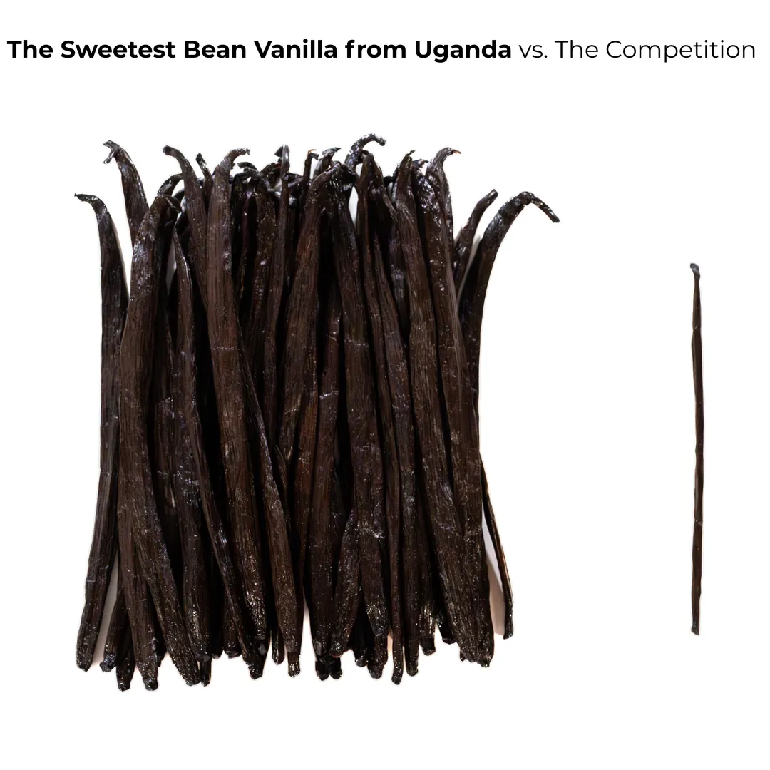 1 lb. Single-Origin Grade-A Gourmet Whole Ugandan Vanilla Beans