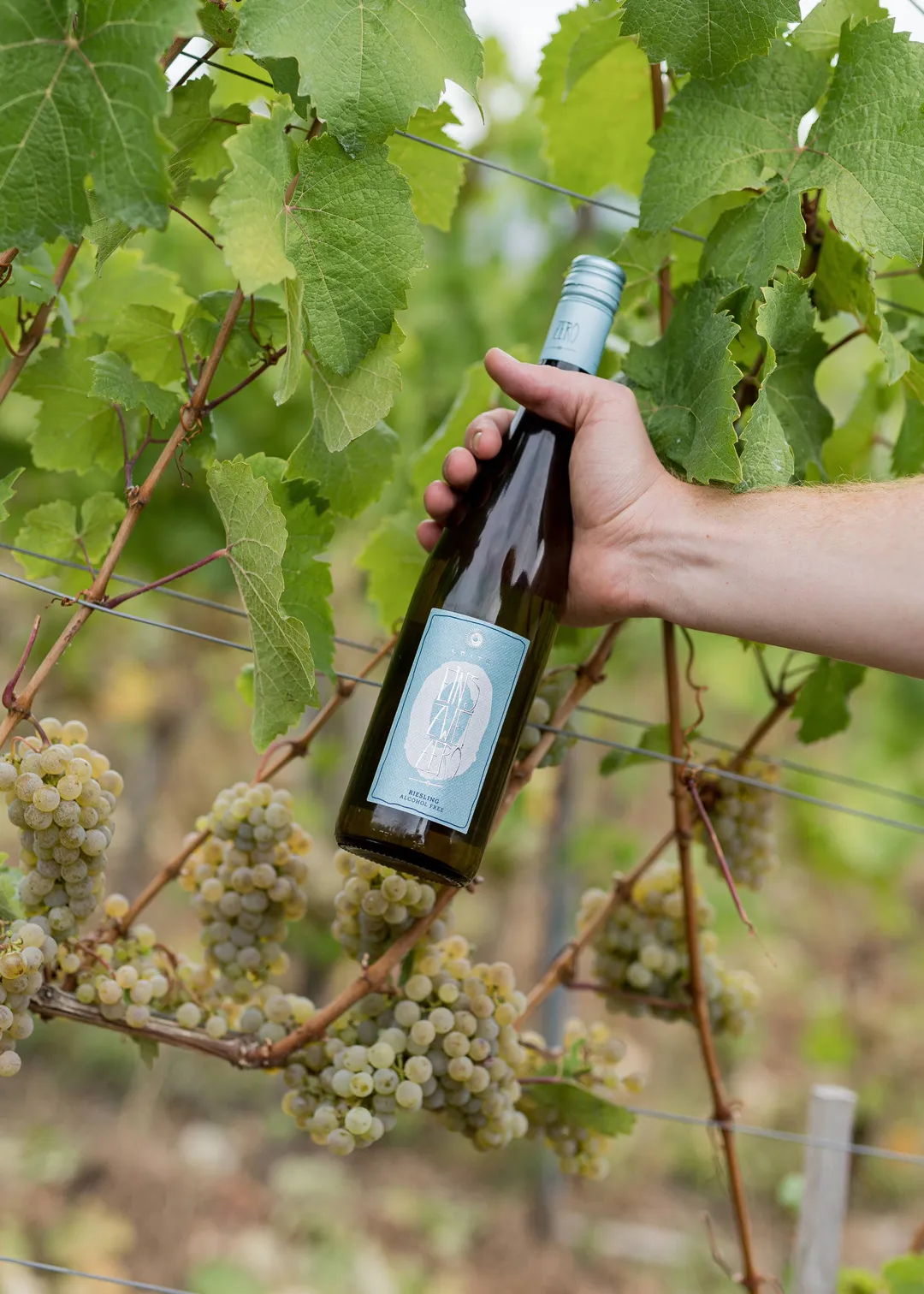 Leitz Eins Zwei Zero Non-Alcoholic Riesling