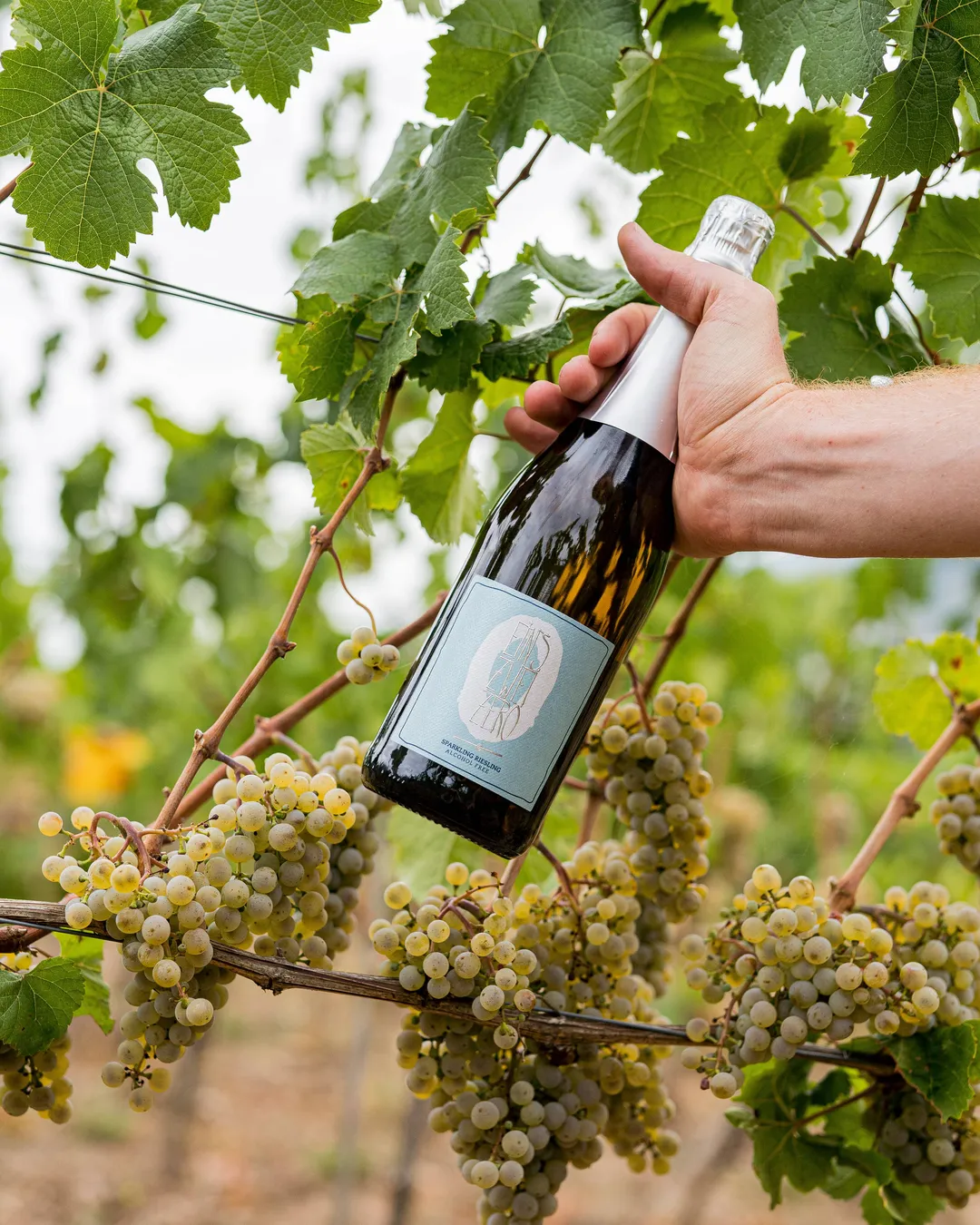 Leitz Eins Zwei Zero Non-Alcoholic Sparkling Riesling
