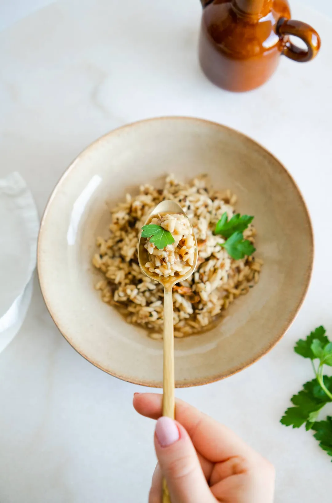 Risotto Basmati with Porcini