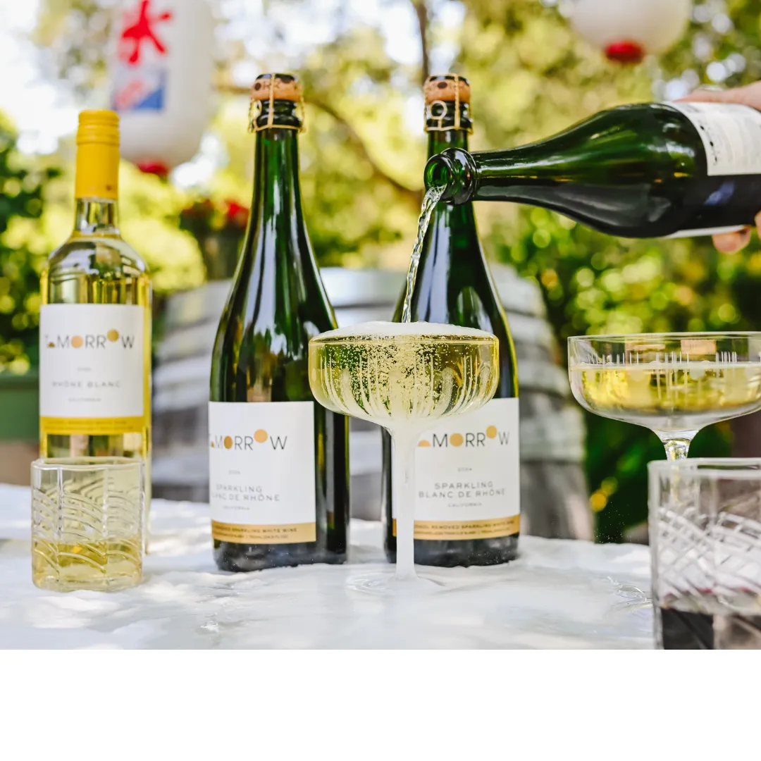 Tomorrow Cellars Whites Mixed Case (6 of each) 