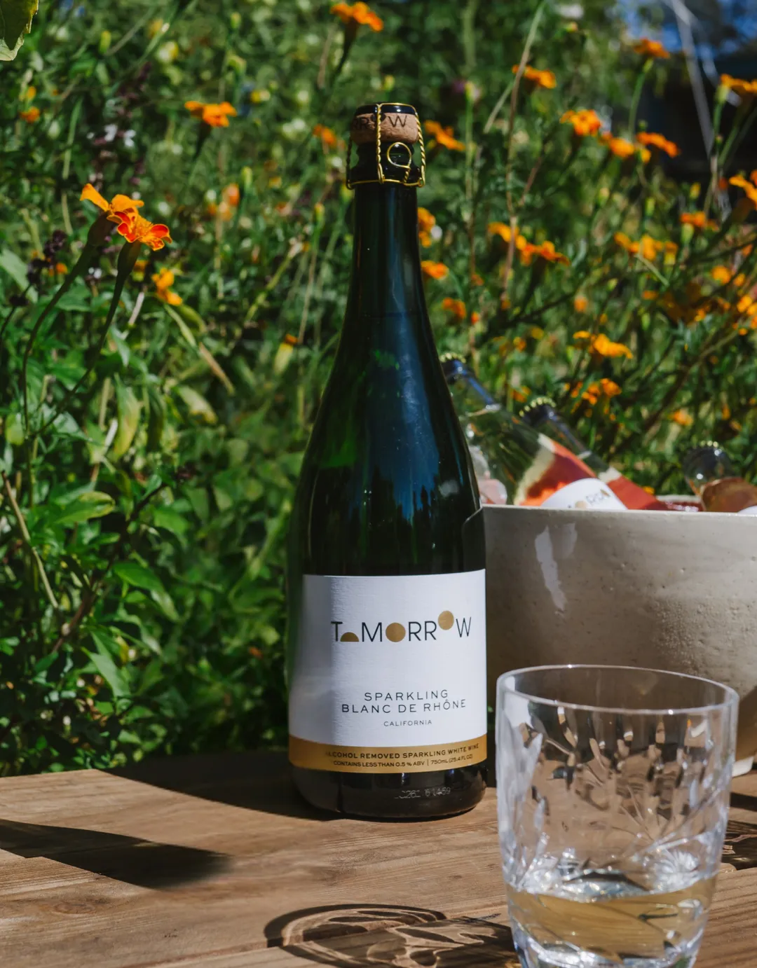 Tomorrow Cellars Sparkling Blanc De Rhône NV 