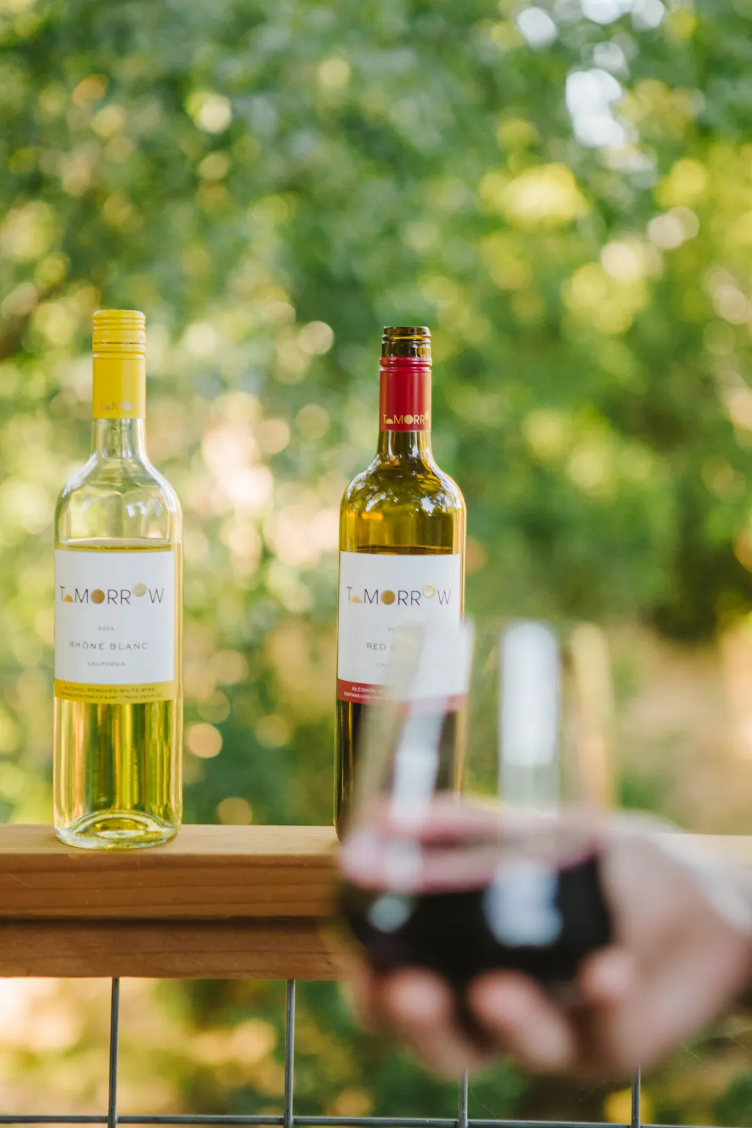 Tomorrow Cellars Mixed Red and White Case (6 each of Rhône Blanc and Red Blend) 