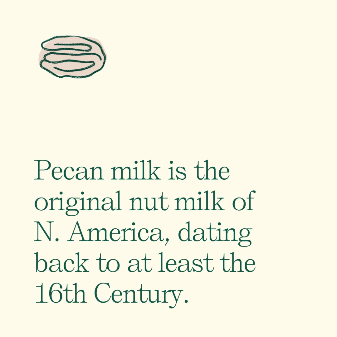 Original Pecanmilk - 8 oz