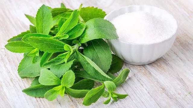 Natural, Dried Stevia leaves- Sweet Alternative