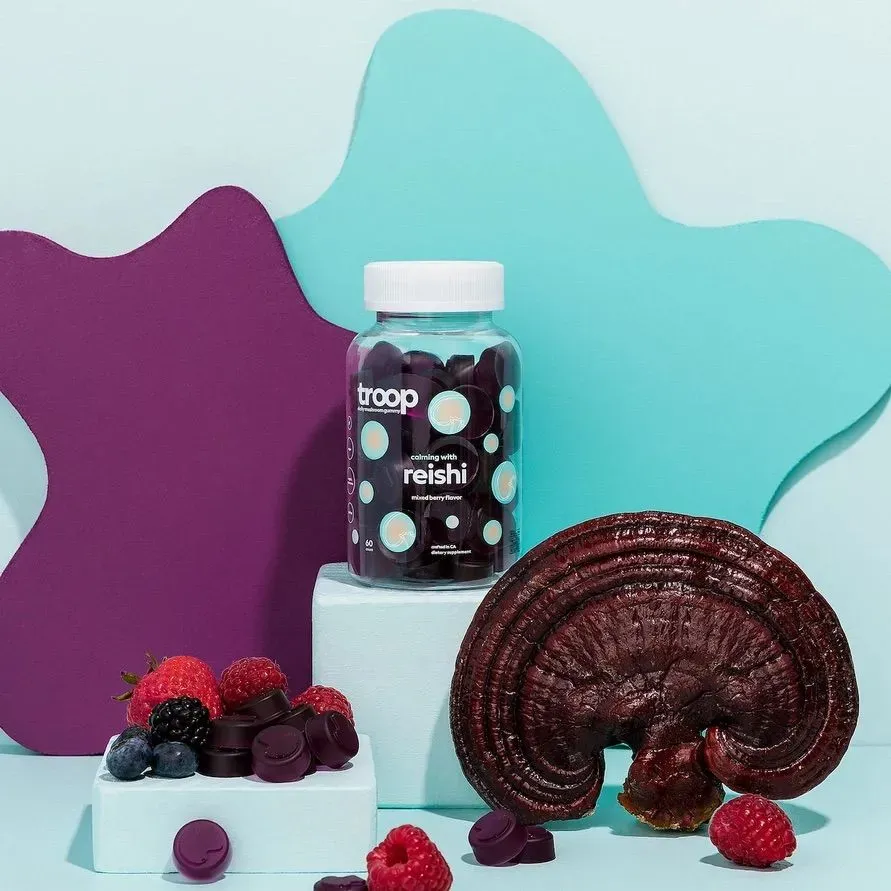 Reishi Mushroom Gummies For Stress, Sleep, Immunity