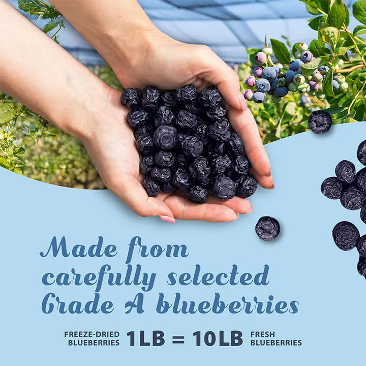 Freeze-Dried Blueberry - Grade A Blueberries - Ideal for Snacks - No Additives