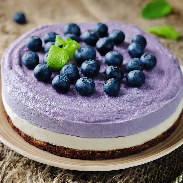 Freeze-Dried Blueberry Powder For Smoothies and Baking - 100% Grade A Blueberries - No Additives