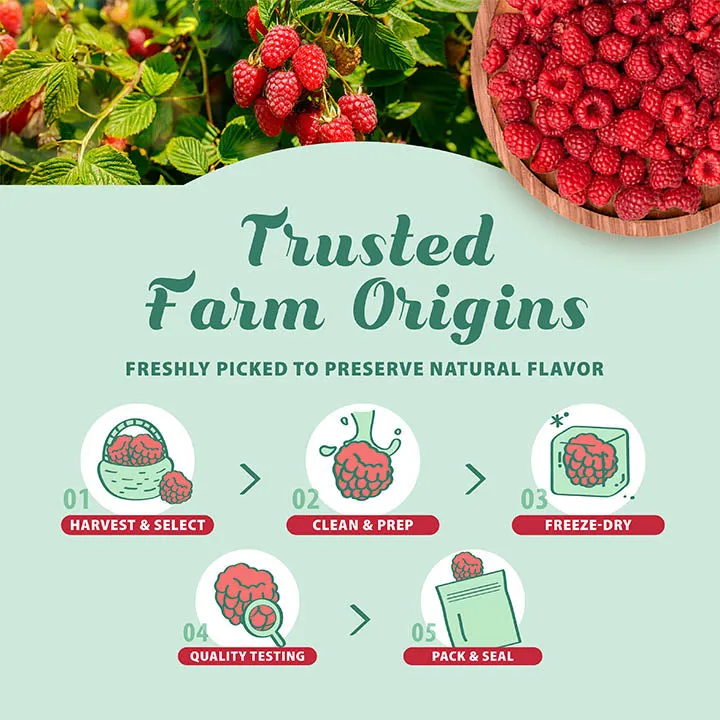 Freeze-Dried Raspberry, Whole - Grade A Raspberries - Ideal for Desserts