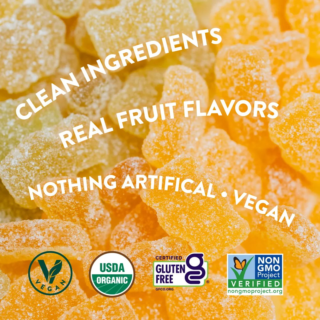 Vegobears Venice Beach 4oz. (10 Pk) Organic Sour Gummy Bears