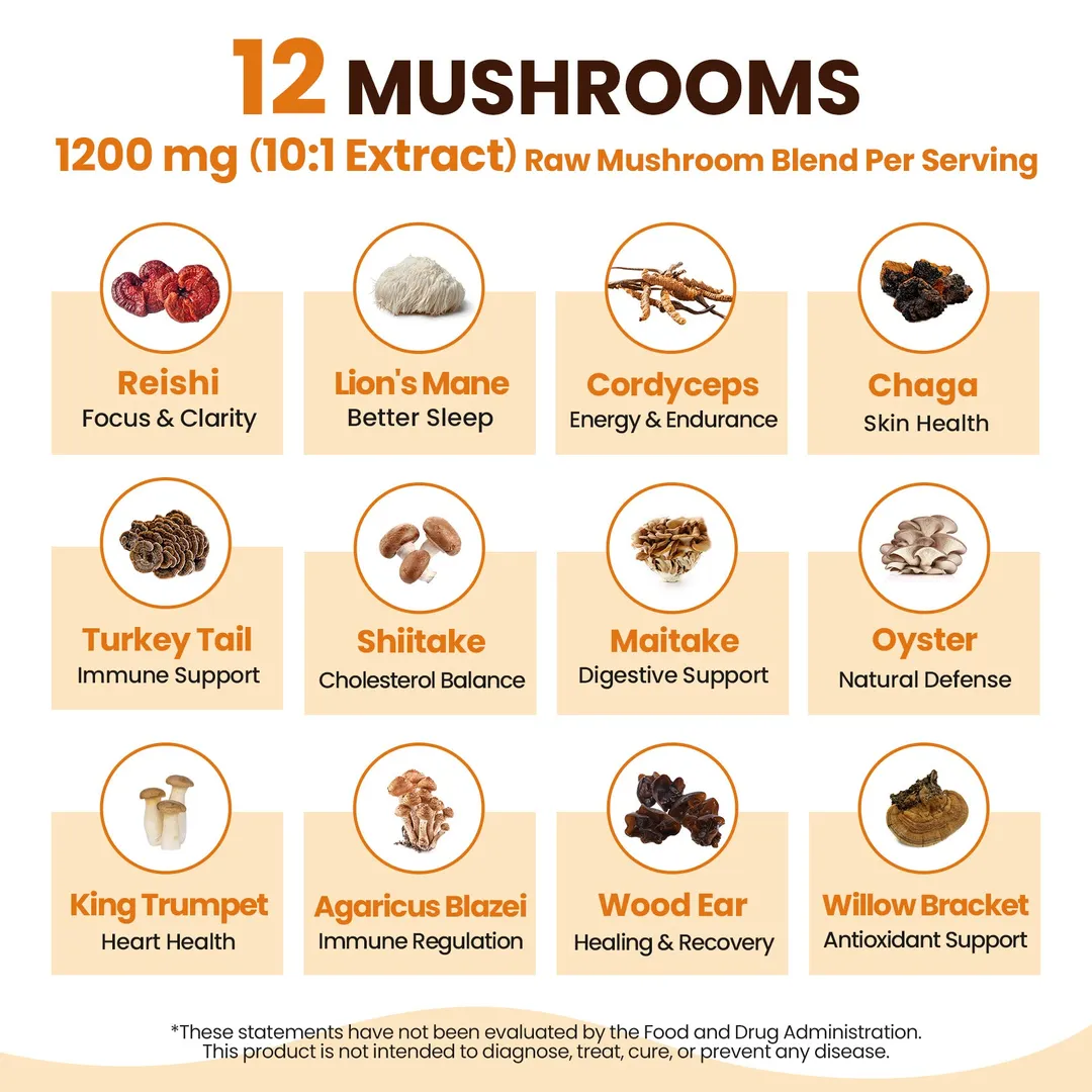 12 Mushrooms Focus Coffee