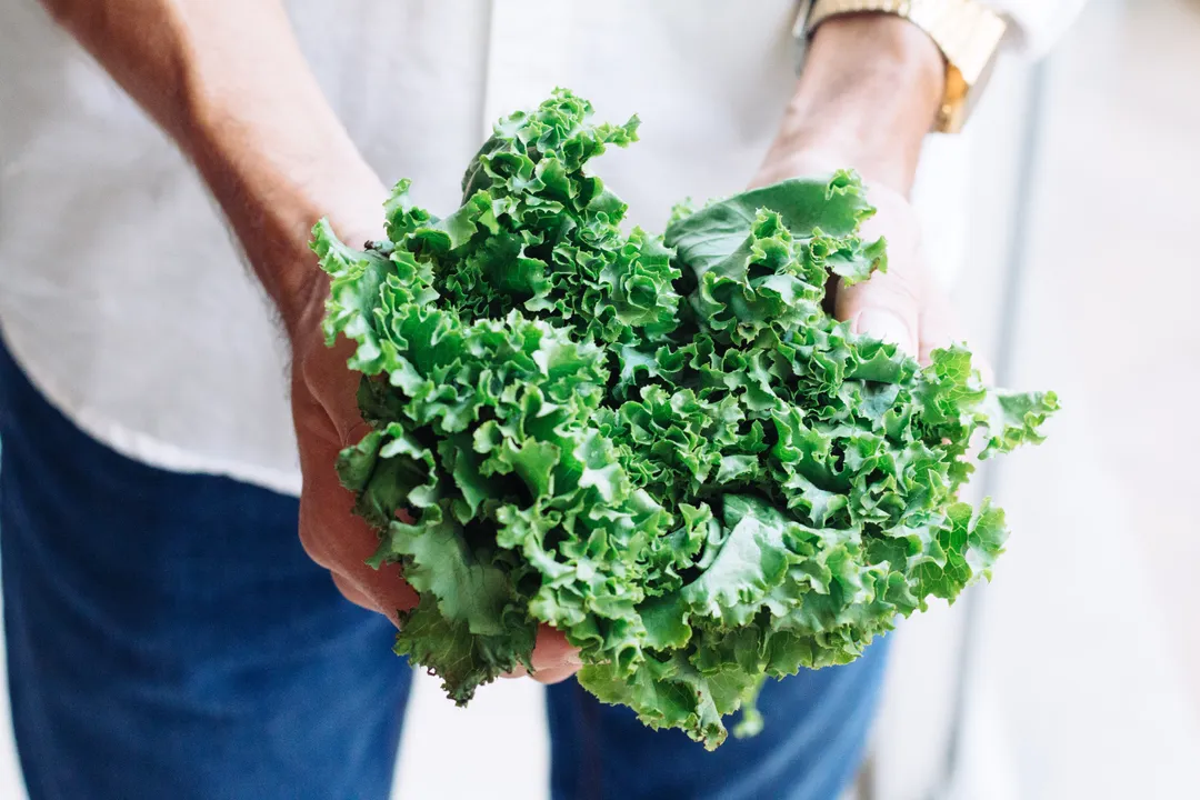 Himalayan Salt & Chickpea Miso Kale Chips