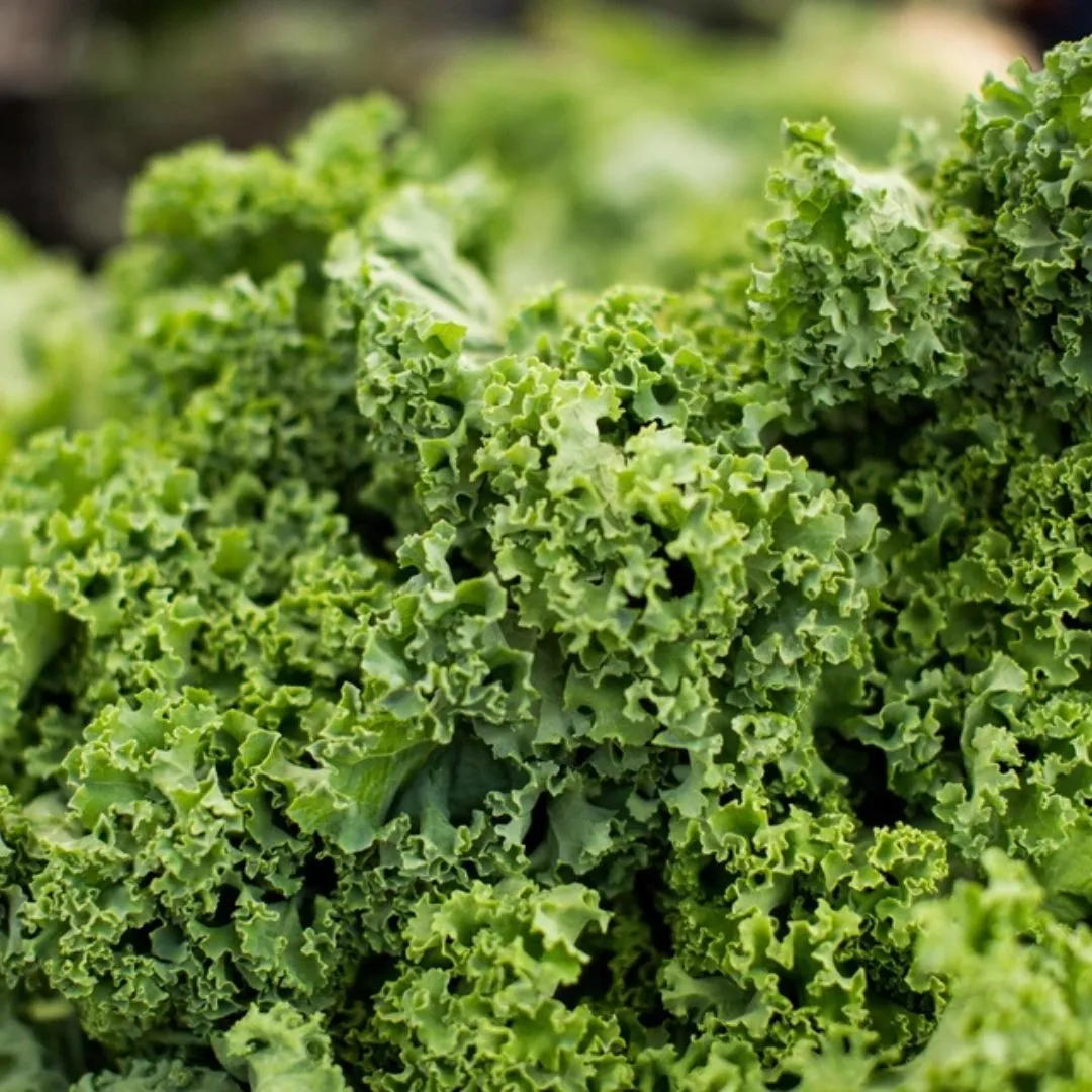 Vibe Crunchy Kale Chip Jalapeno