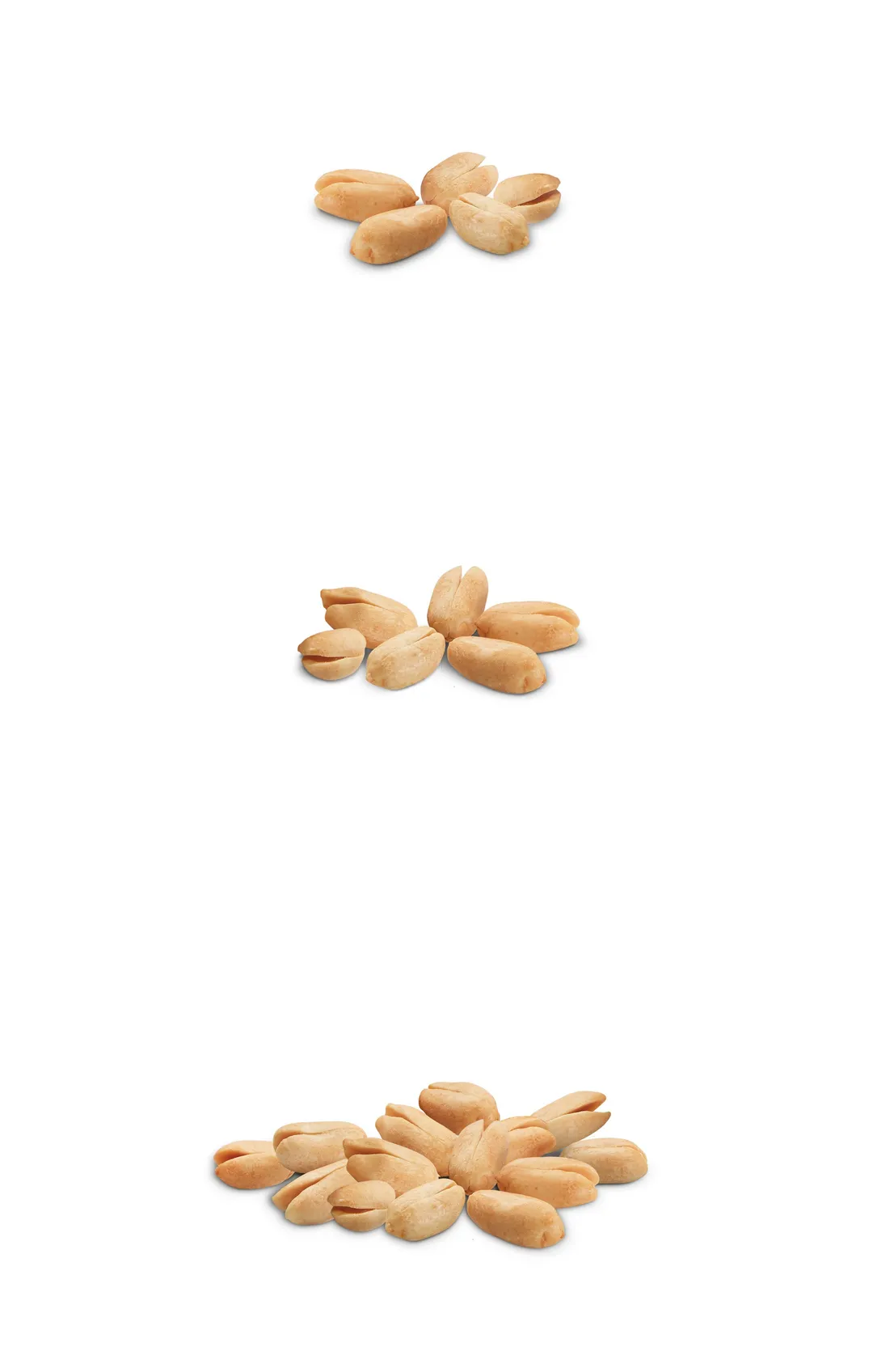 9 oz. Unsalted Virginia Peanuts