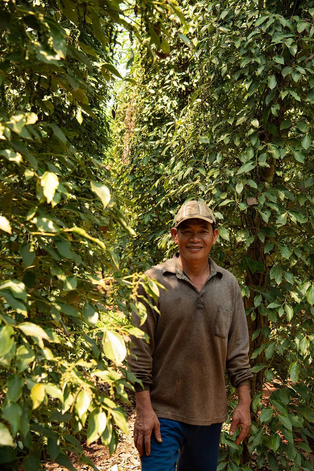 Bazan Pepper - Single-Origin Vietnamese Black Peppercorns