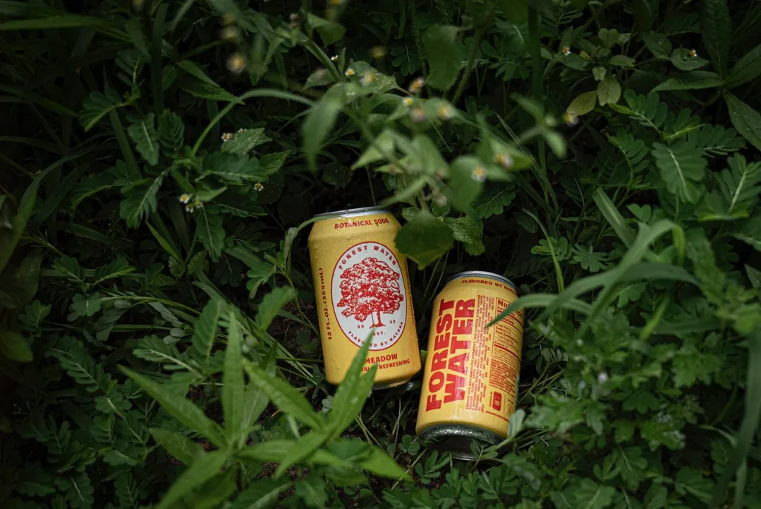 Forest Water - Non-Alc Botanical Soda | Meadow